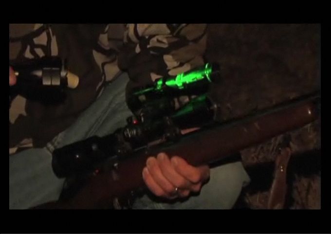 opplanet laser genetics nd3 high road coyote hunt video