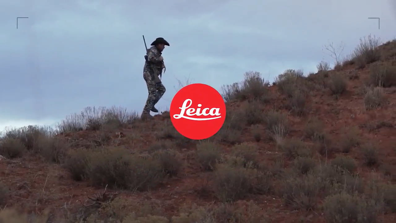 opplanet leica amplus highlights video