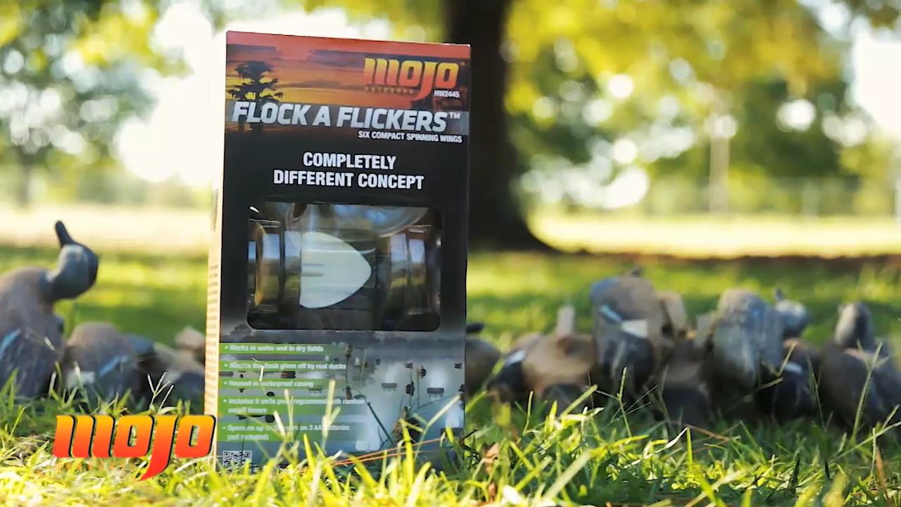 Flock A Flicker 2null
